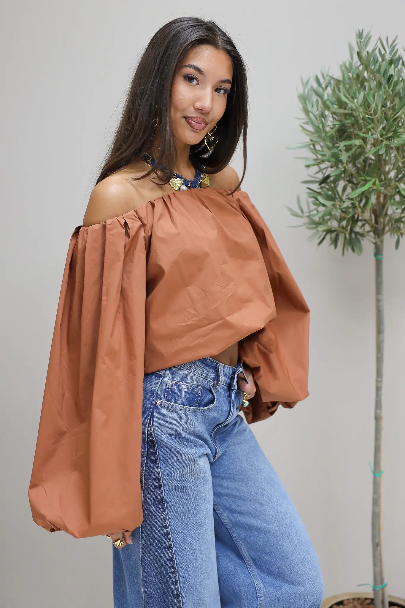 Off Shoulder Blouse Pofmouwen Bruin