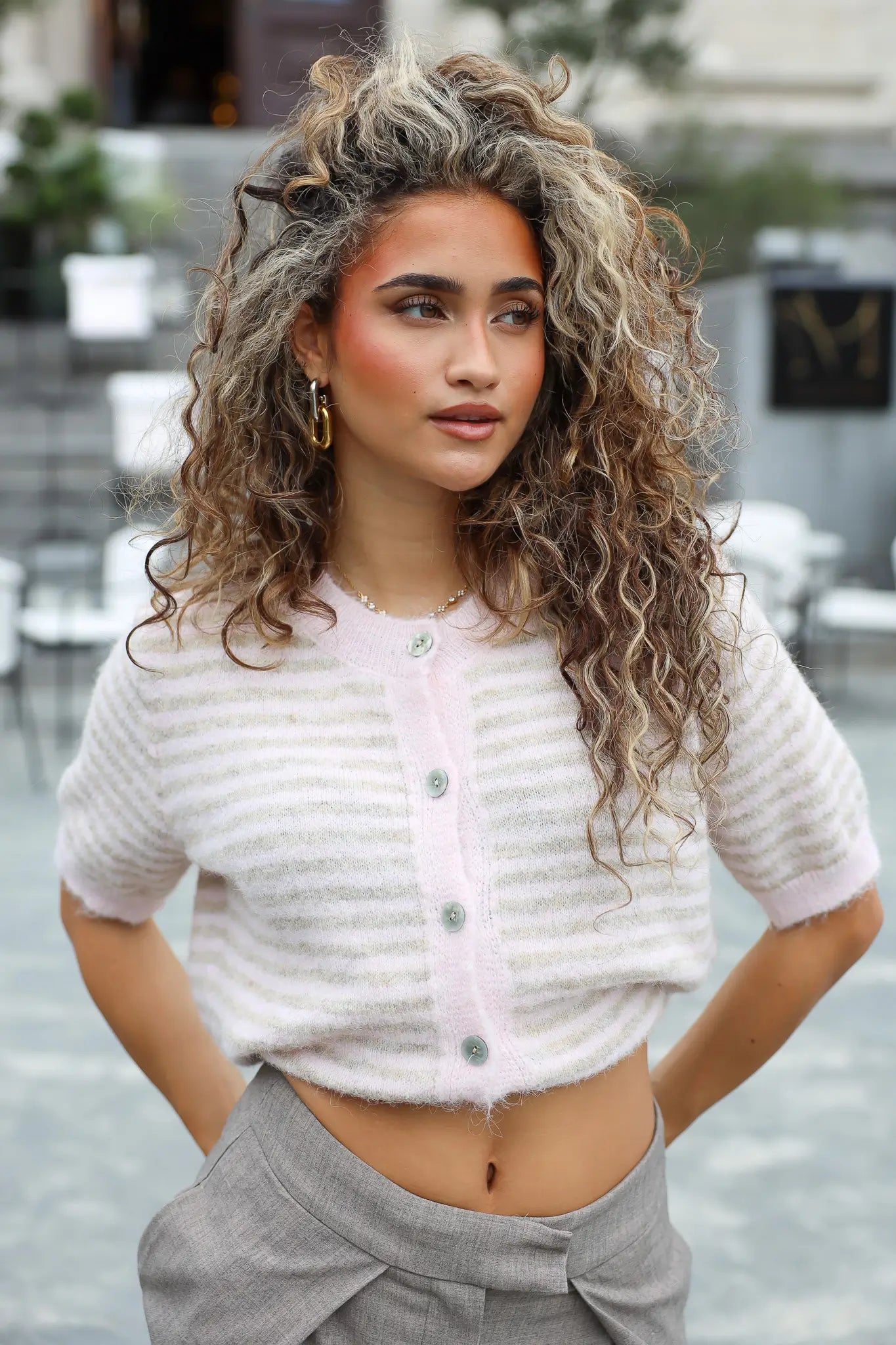 Vest Strepen Roze/Beige