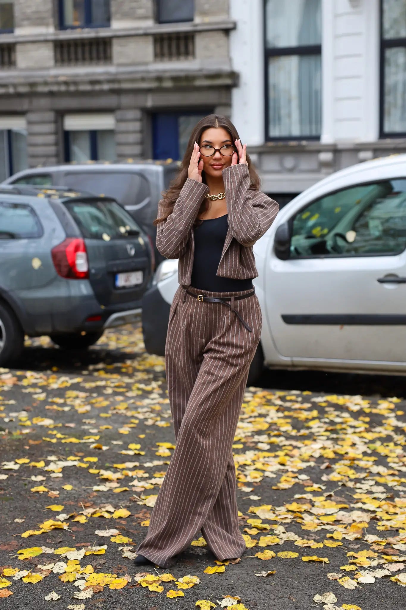 Pantalon Gestreept Donker Bruin