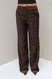Pailletten Broek Bruin