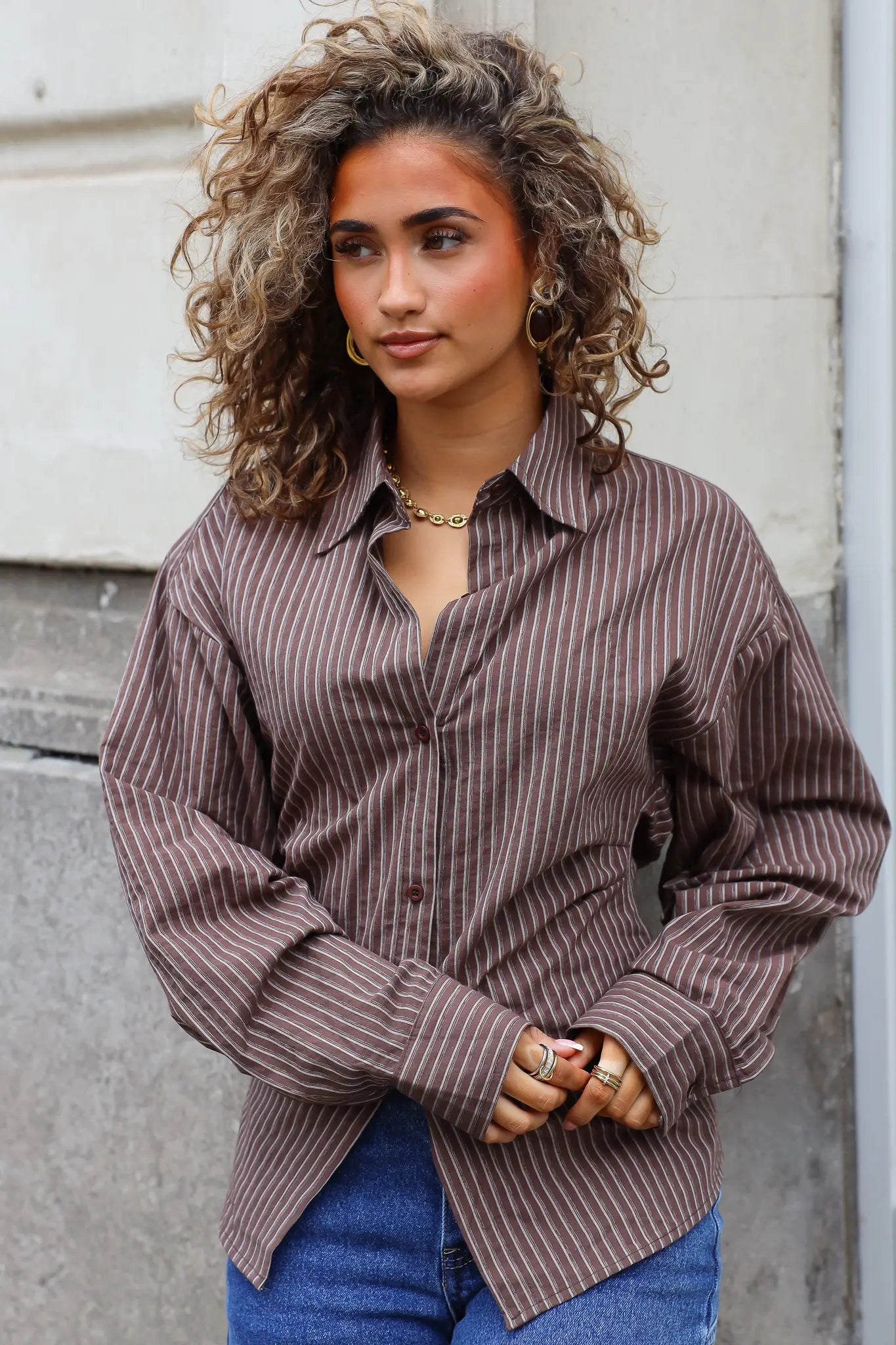 Blouse Getailleerd Bruin
