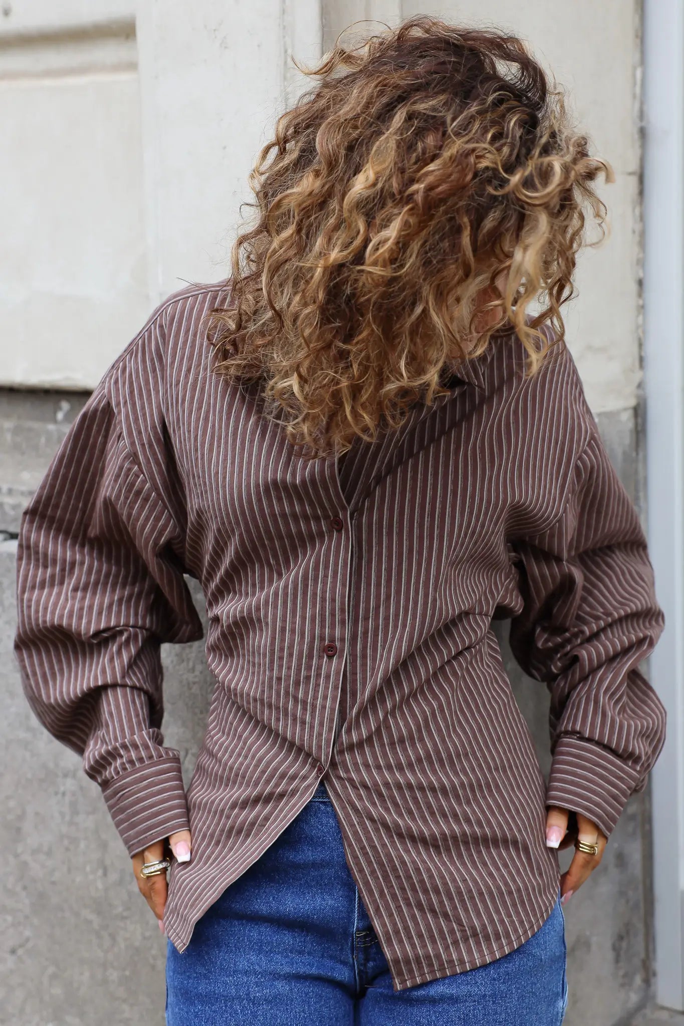 Blouse Getailleerd Bruin