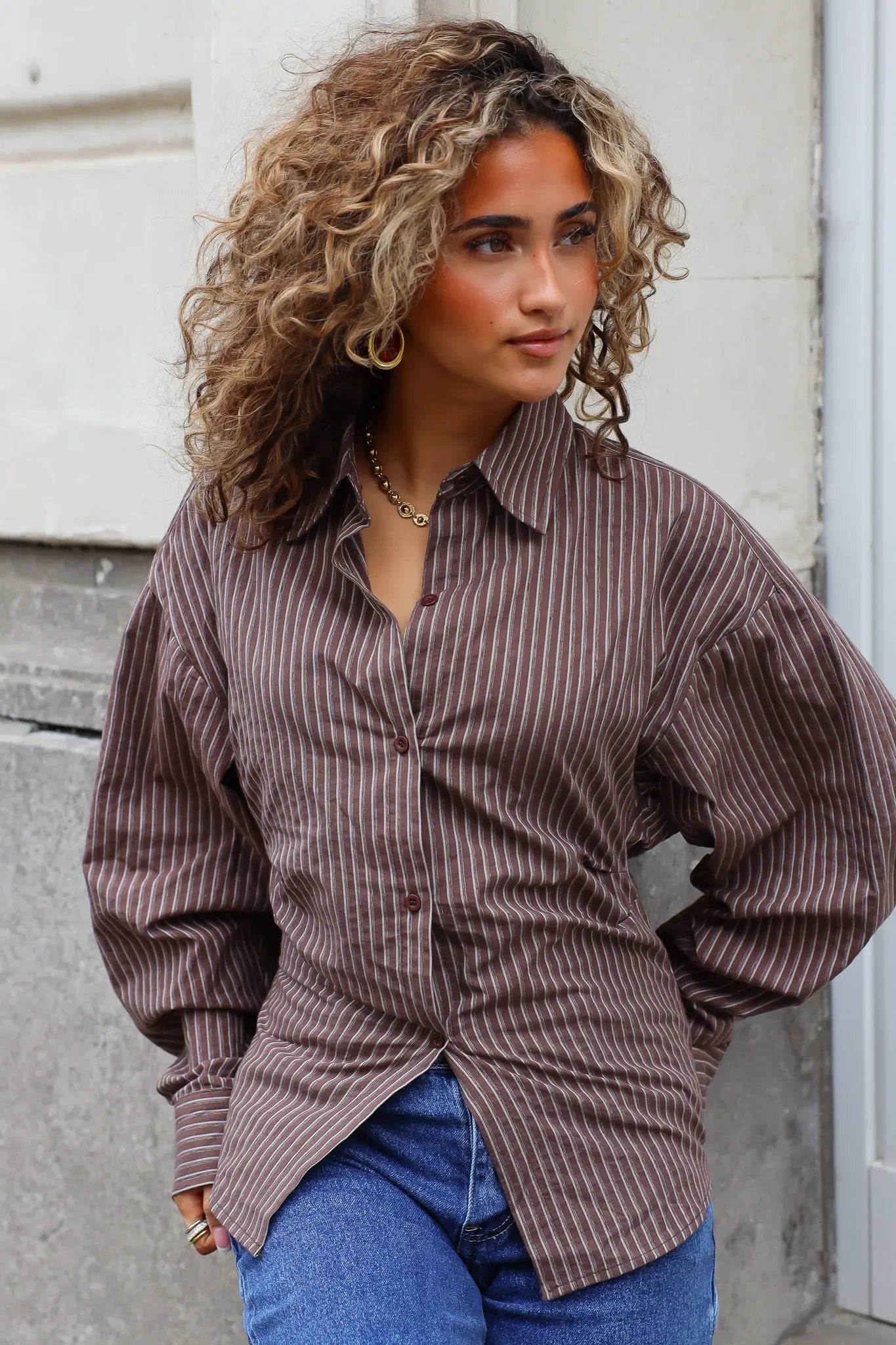 Blouse Getailleerd Bruin