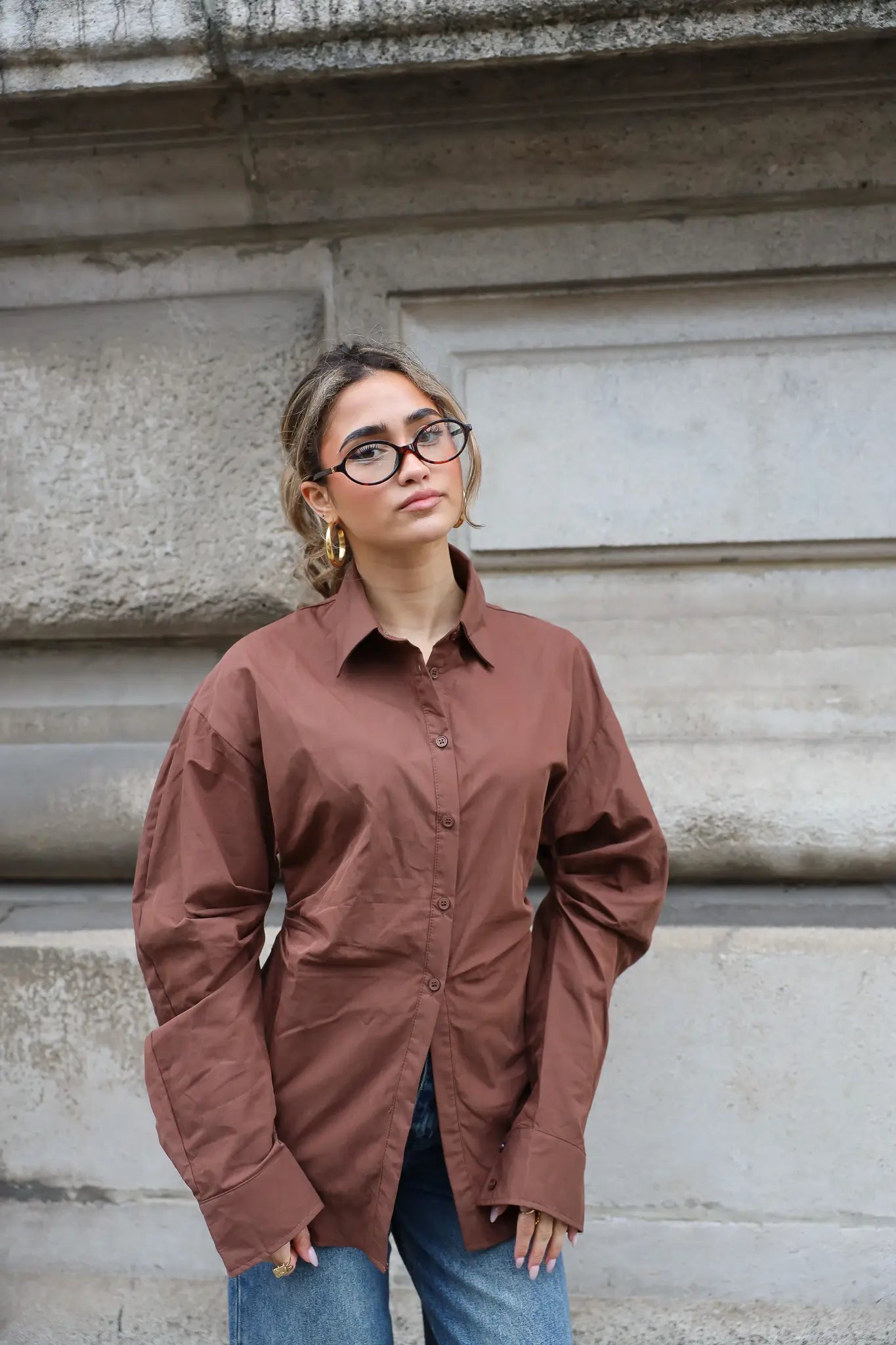 Blouse Getailleerd Lange Mouwen Bruin