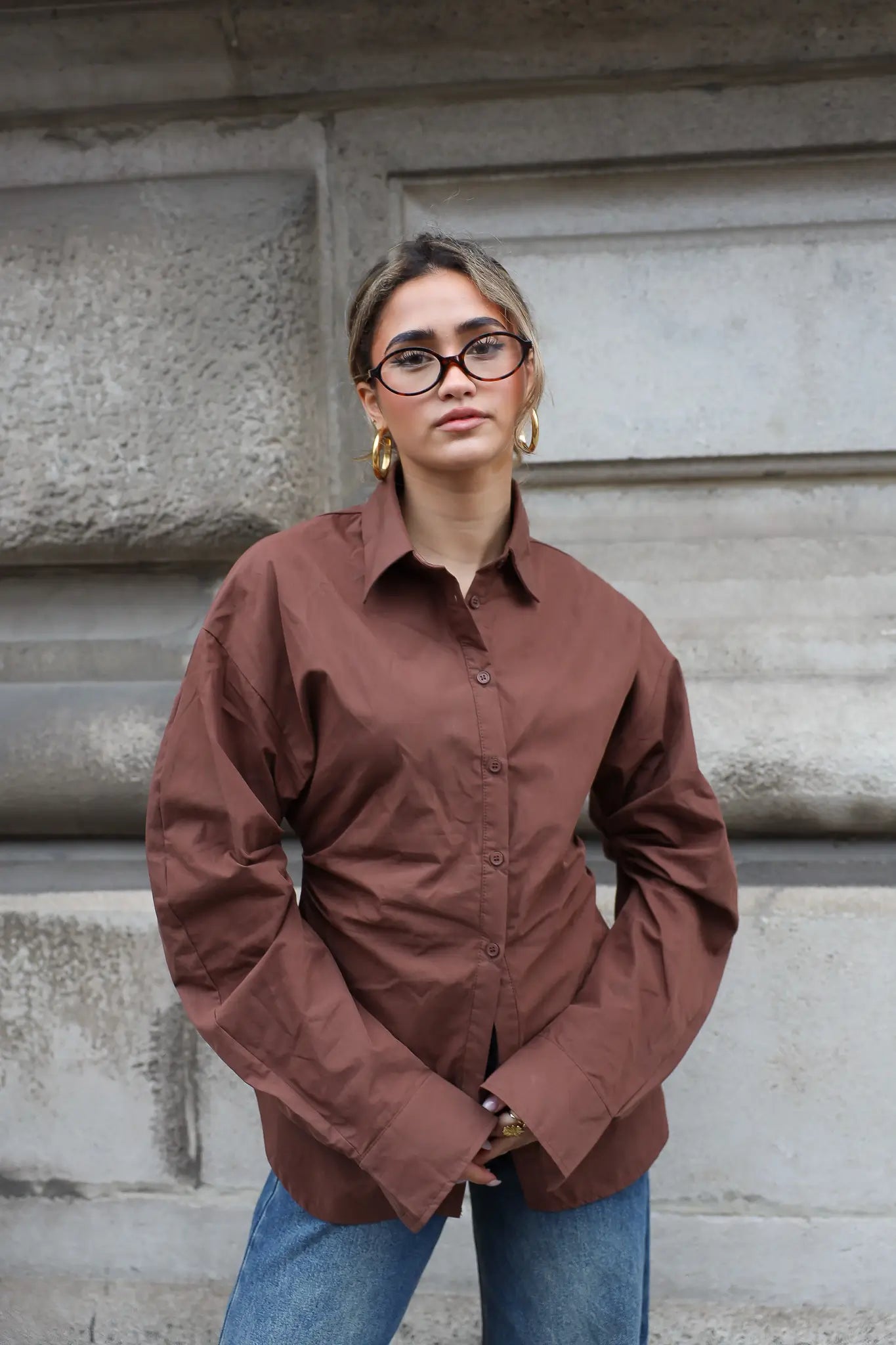 Blouse Getailleerd Lange Mouwen Bruin